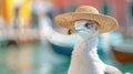 A close up of a bird wearing a hat, close-up portrait of a seagull bird traveller in front of canal with boats