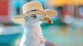 A close up of a bird wearing a hat, close-up portrait of a seagull bird traveller in front of canal with boats