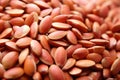 close-up of bitter almond kernels