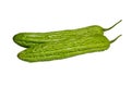 close up Bitter gourd (bitter melon, chines gourd) vegetables isolated on white background with clipping path Royalty Free Stock Photo