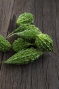 Close up Bitter melon bitter gourd cucumber or Momordica charantia in wooden bowl isolated on old wood table Royalty Free Stock Photo