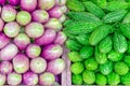 Close-up bitter melon and purple Asian eggplants at local market stand in Little India, Singapore Royalty Free Stock Photo