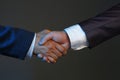 Biz partners shake hands, beneficial decision, support each other, confirm deal