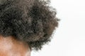 Close up of Black African American Woman`s Kinky curly hair in natural state isolated on white background for Black healthy hair c Royalty Free Stock Photo