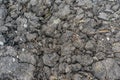 Close up black brown soil for reuse and replantation Royalty Free Stock Photo
