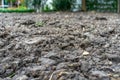 Close up black brown soil for reuse and replantation Royalty Free Stock Photo