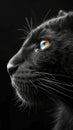 A close up of a black cat with blue eyes, animalistic wallpaper background