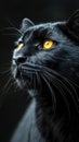 A close up of a black cat with yellow eyes, animalistic wallpaper background