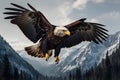 A close up of a black eagle spreading his wings Royalty Free Stock Photo