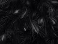 Soft Black Feather Texture Background. Royalty Free Stock Photo