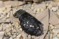 close up of an black grenade on ground .fragmentation grenade