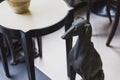 Close up black greyhound sculpture that sit near low table