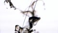 Close-up of black ink in water on white background. Drops of black ink beautifully splash in water, creating abstract