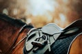 A black leather saddle, worn on the back of a bay horse, as well as a blue saddlecloth and stirrup. Equestrian sports and Royalty Free Stock Photo