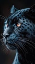 A close up of a black leopard's face, animalistic wallpaper background