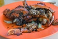 Close up of black pepper crab served on bright orange plate Royalty Free Stock Photo