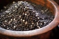 close-up of black peppercorns in a stone mortar, mid-crush Royalty Free Stock Photo