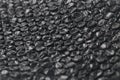 Close up of black plastic bubbles on a bubble wrap Royalty Free Stock Photo