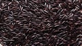 Close-up of black rice grains scattered on white background, top view. Wild rice texture. Suitable for food and