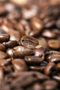 Close up black roasted arabica coffee beans