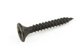 Close up black screw isolated on white background with clipping path Royalty Free Stock Photo