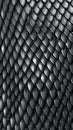 Close up of black snake skin texture background,  High resolution photo Royalty Free Stock Photo