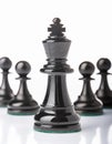 Black stone bishop chess piece on light background. Business, leadership, outstanding