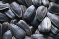 Close-up of black sunflower seeds. texture, background of natural and healthy snacks. Macro photography with shallow Royalty Free Stock Photo