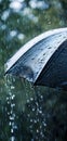 Close up, black umbrella under rainfall against a background of water droplets splashing. Concept of rainy weather. Royalty Free Stock Photo