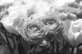 Close-up of black and white bouquet of roses Royalty Free Stock Photo