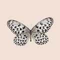 Close up of a black and white butterfly with open wings, showcasing its intricate patterns on a beige background Royalty Free Stock Photo