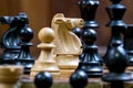 Close up black and white chess figurines on a chess board Royalty Free Stock Photo