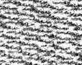 Macro Image of Irregular Halftone Noise Pattern on Paper Royalty Free Stock Photo