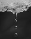 Close up black and white image of ice melting with three water drops Royalty Free Stock Photo