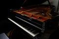 Close-up of the black and white keys of a top grand piano Royalty Free Stock Photo