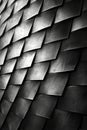 A close up of a black and white patterned surface Royalty Free Stock Photo