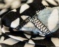 Close up of black and white patterned textile in color. folded to highlight stitching and folds.
