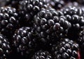 Close up blackberry berry healthy fruit.Macro.AI Generative