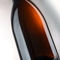 Close-up blank champagne bottle Royalty Free Stock Photo