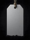 Close-Up of Blank Gray Tag with Twine and Torn Edge Royalty Free Stock Photo