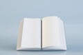 Close up of blank open book on grey background. Document and page concept. 3D Rendering Royalty Free Stock Photo