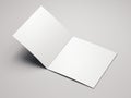 Close up of blank white leaflet on light background, 3d rendering.