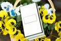 Close up of blank white box in basket with flowers on wooden table Royalty Free Stock Photo