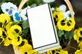 Close up of blank white box in basket with flowers on wooden table. Rustic decoration Royalty Free Stock Photo