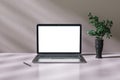 Close up of blank white laptop frame screen on abstract shiny workplace background with reflections and vase with green plant.