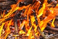 Close up of blazing campfire, Campfire burning logs in large orange and yellow flames in close up of the wood aflame. Close up of