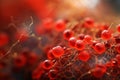 Close up of blood cells leukocytes and erythrocytes in abstract detailed background with copy space