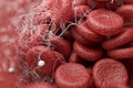 Close up blood clot and white blood cells