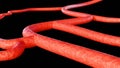 close-up of a blood vessel on a black background