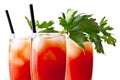 Close up of bloody mary with ice cubes on white background